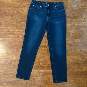 GAP Women's Indigo Skinny Jeans